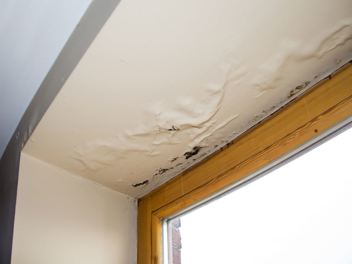 Humidity & Moisture Damage Roof Repair in Greensboro, NC roof planning in Greensboro